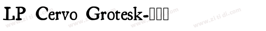 LP Cervo Grotesk字体转换